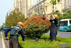 青州市：党建红+园林绿+环卫橙，合力打造全域花园城市